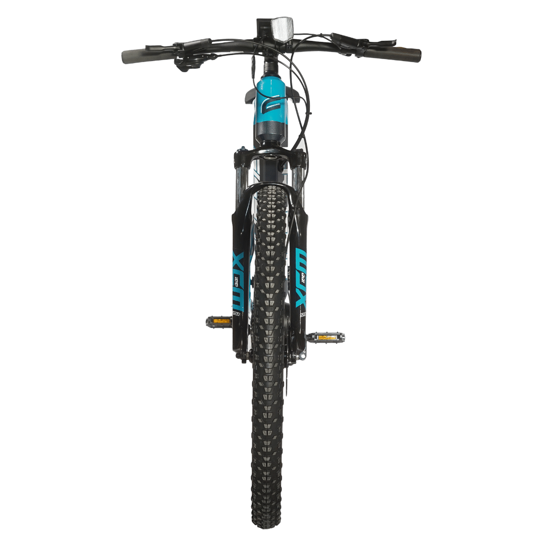 e-Fionna 29'' electric bike (img 1)