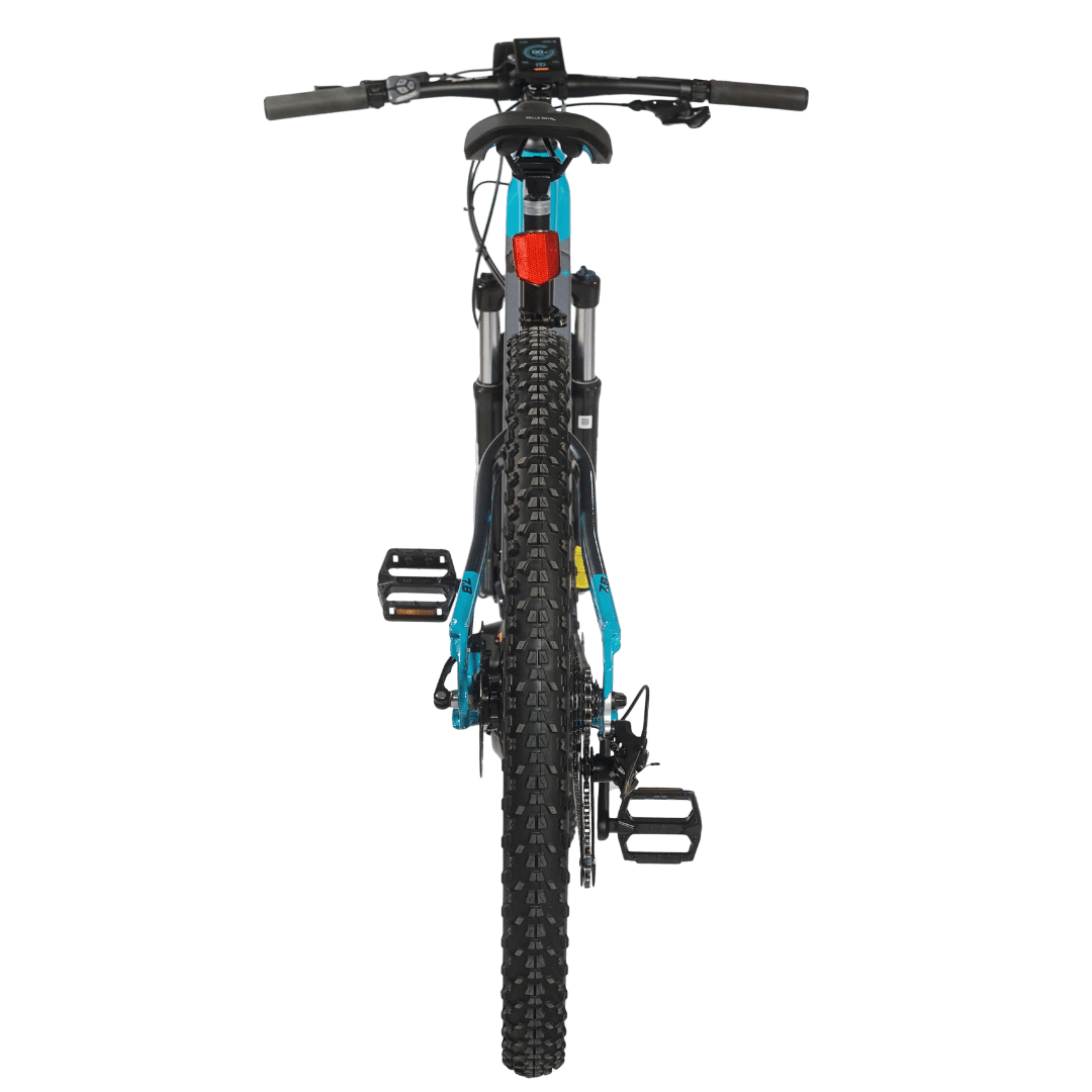 e-Fionna 29'' electric bike (img 5)