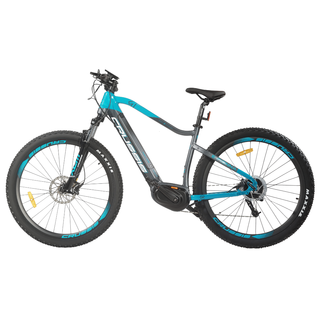 e-Fionna 29'' electric bike (img 3)