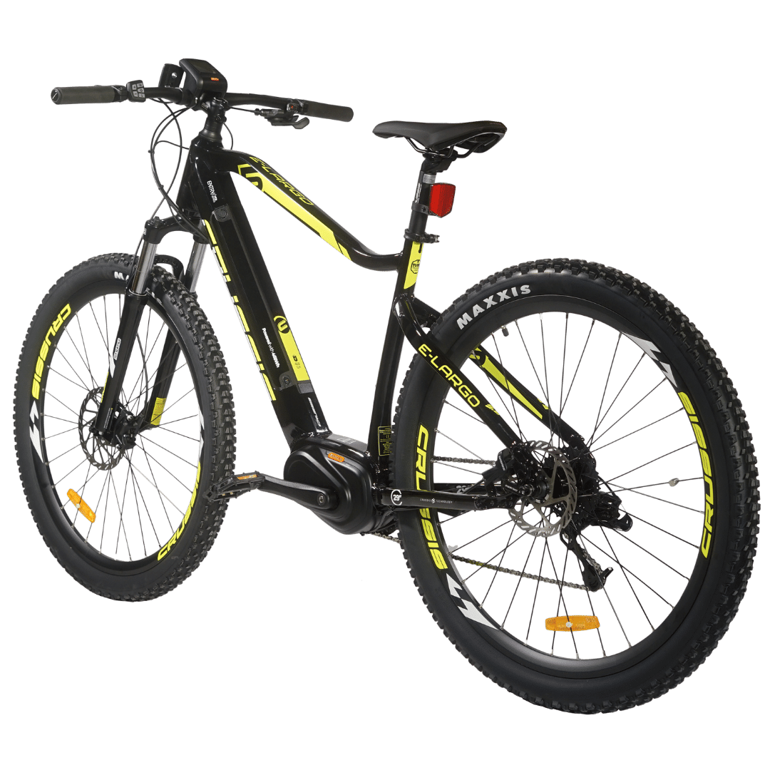 e-Largo 29'' EMW (img 4)