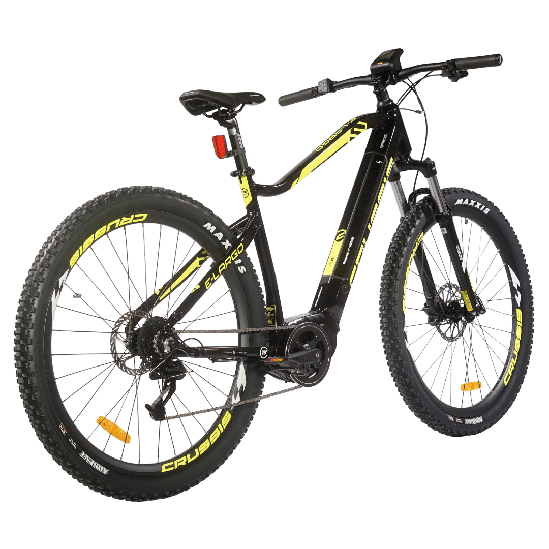 e-Largo 29'' EMW (img 6)