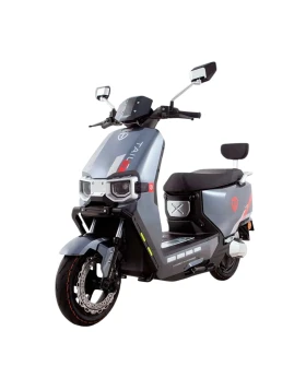  TAILG F55 25 km/h
