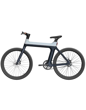 Ebike-X EMW