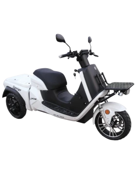 E-RIDE CARRIER DELIVERY 50