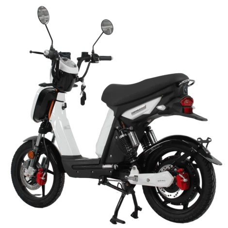 Portable/1000 EMW Electric Scooter