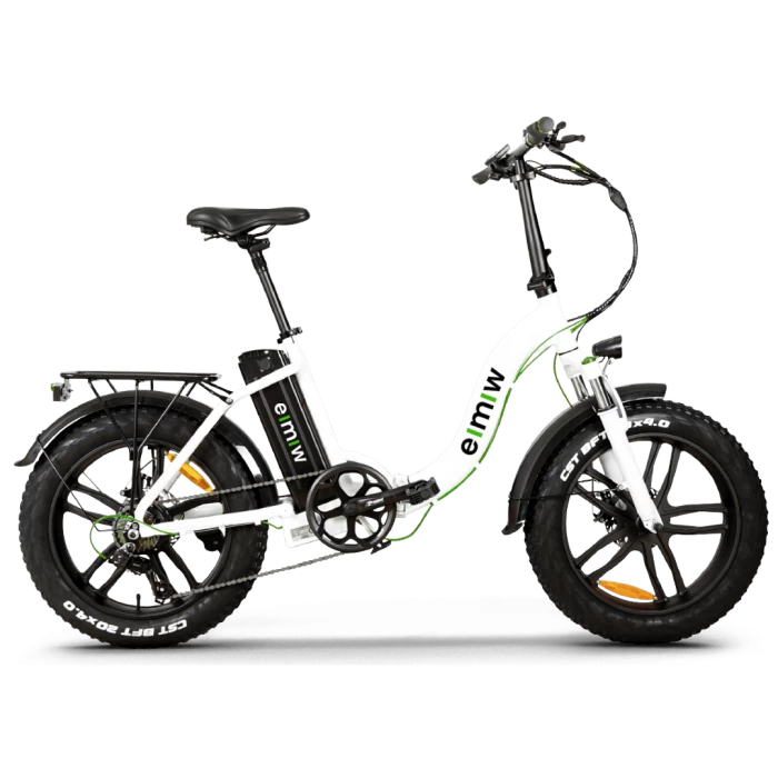 TDN FAT Tyres PRO 20 inch foldabe EMW