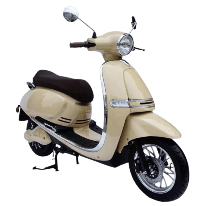 Electric scooter for delivery E-fun Pusa Delivery 4000W