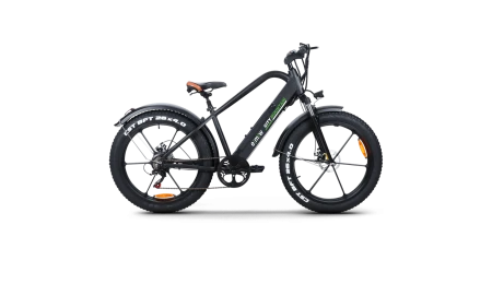 City-Mountain 250W Fat tyres EMW