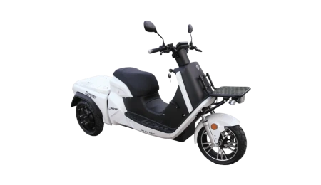 E-RIDE CARRIER DELIVERY 50