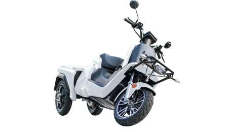 E-RIDE CARRIER DELIVERY 