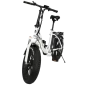 TDN FAT Tyres PRO 20 inch foldabe EMW