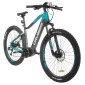 ηλεκτρικό ποδήλατο e-Fionna 29''