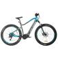 e-Fionna 29'' electric bike (img 0)