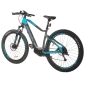e-Fionna 29'' electric bike