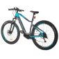 e-Fionna 29'' electric bike (img 5)