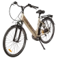 e-Country 28'' electric bike (img 3)